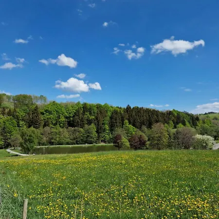 Nice In A Great Location In Willingen Oberland